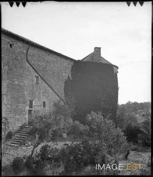Tour du château (Manonville)